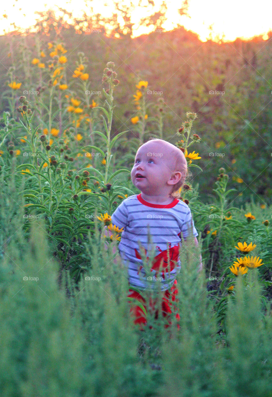 Fields of Flowers. What photog can pass a field of flowers at sunset and NOT stop to photograph their babies in the middle of it? Not a one