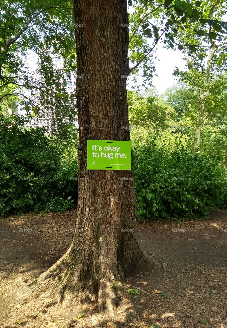 SIGN IN NYC PARK ON A TREE