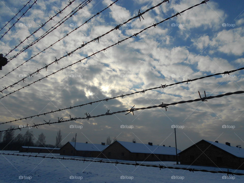 Blue Sky at Birkenau