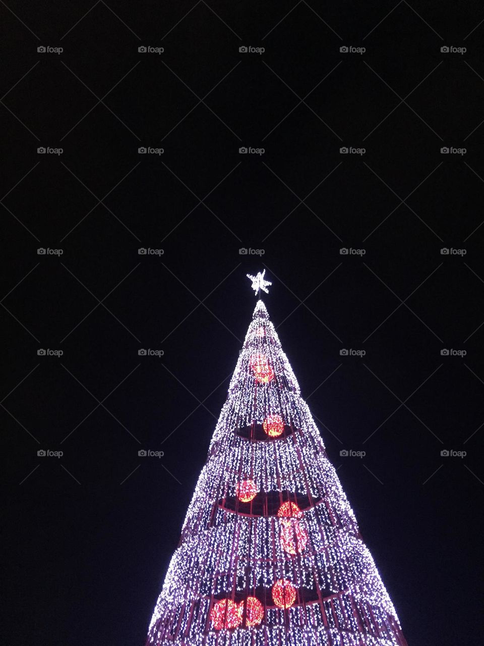 Looking up - giant Christmas tree 