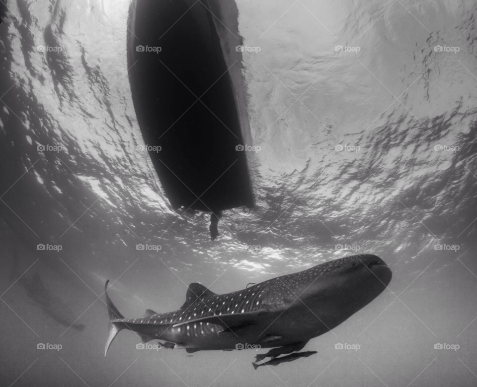 boat underwater scuba indonesia by paulcowell