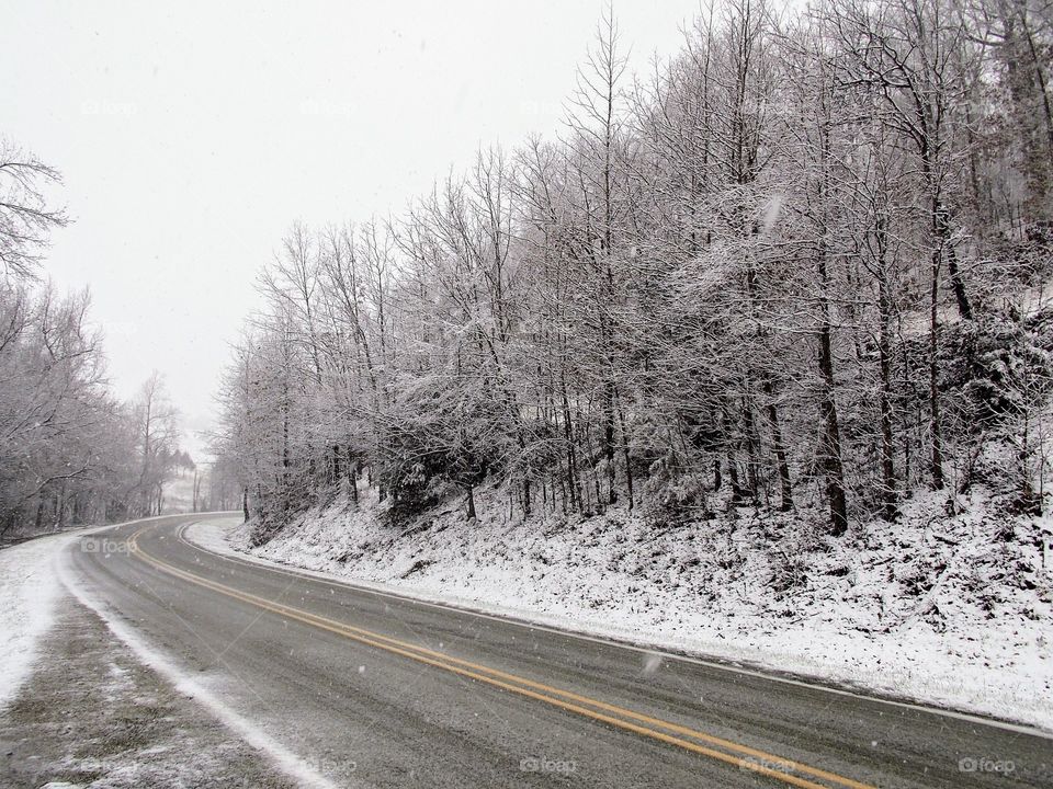 Snowy flurries near the road