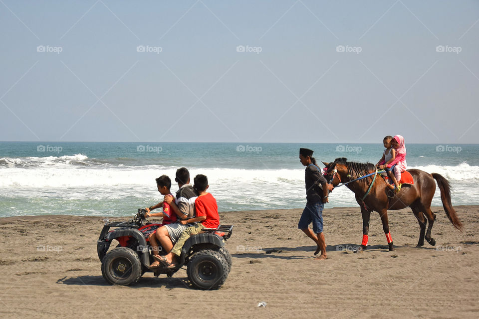 explore the beach on a horse back
