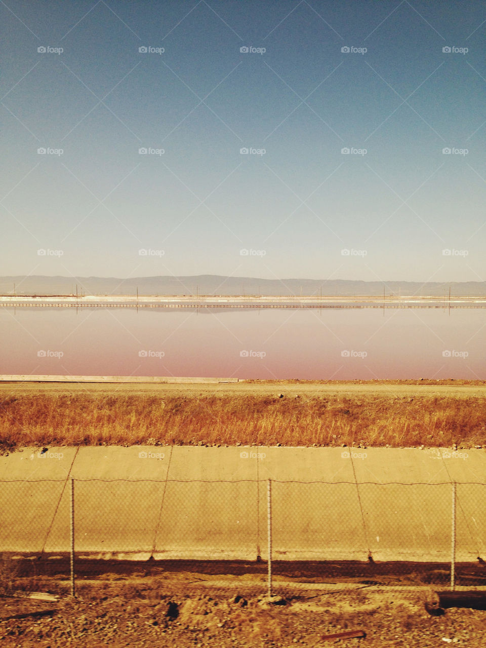 FIELD WITH PINK WATER