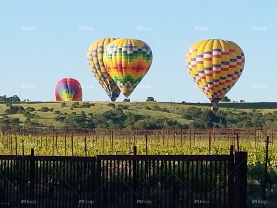Napa Valley Hot Air Balloon 3.