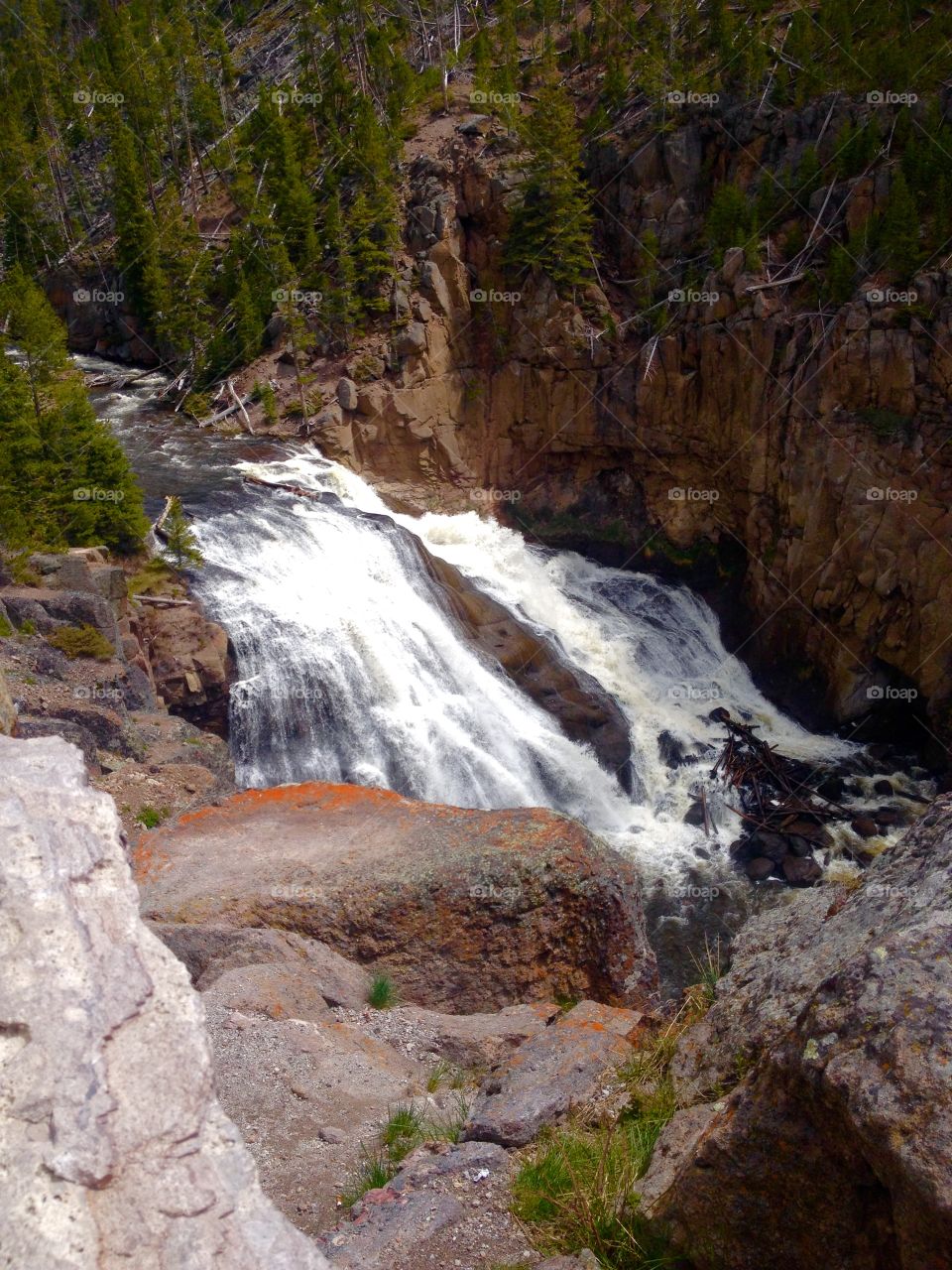 Gibsons falls. Yellowstone Gibson falls