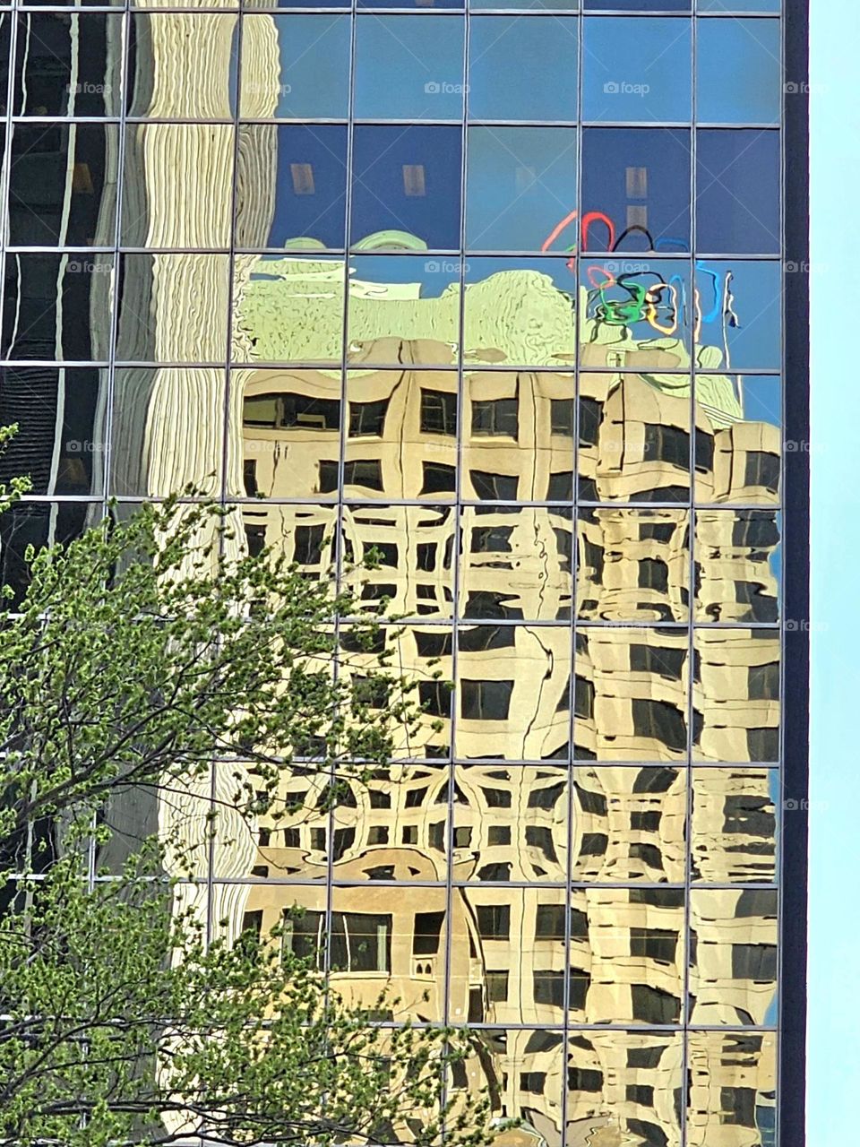 reflection in Montréal