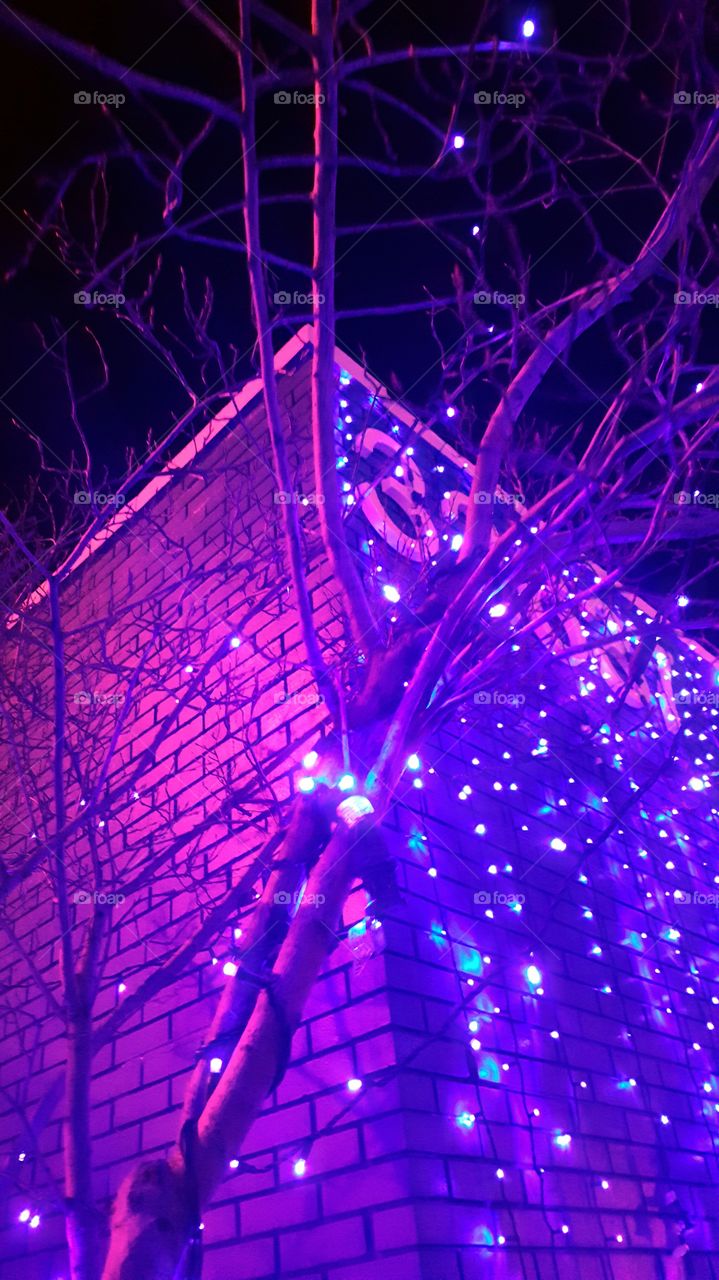 Purple lights in the trees and on the building