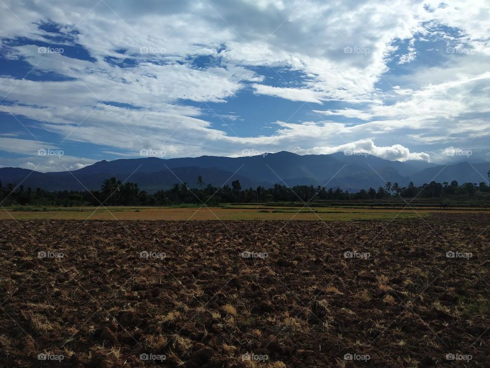 agriculture land