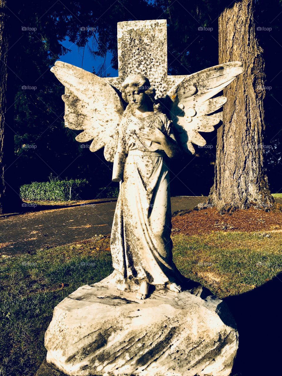 Handless angel, Mt Calvary Catholic Cemetery, Portland, OR