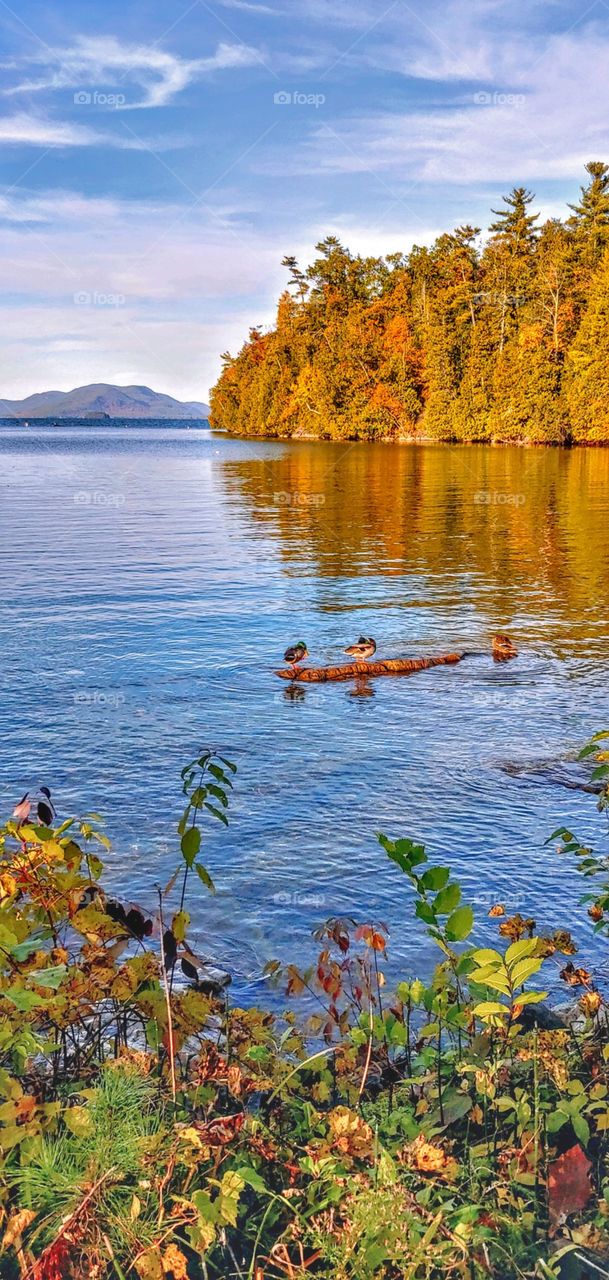 The Adirondack Wilderness!