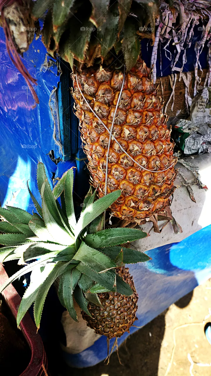 pineapple