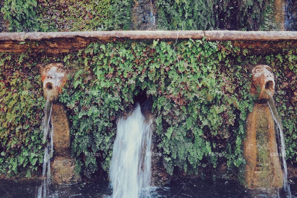 Architecture in the Italy