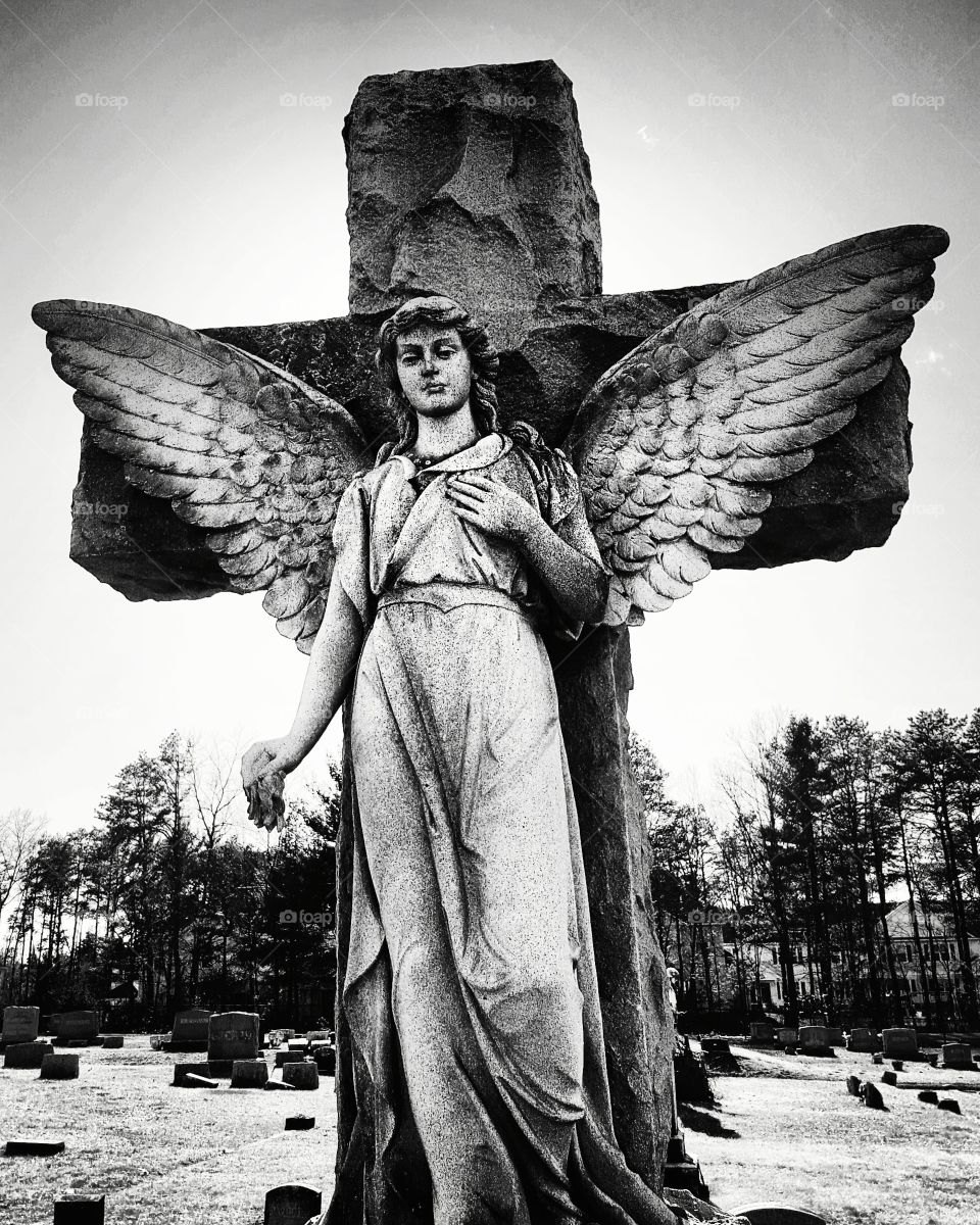 angel wings guardian