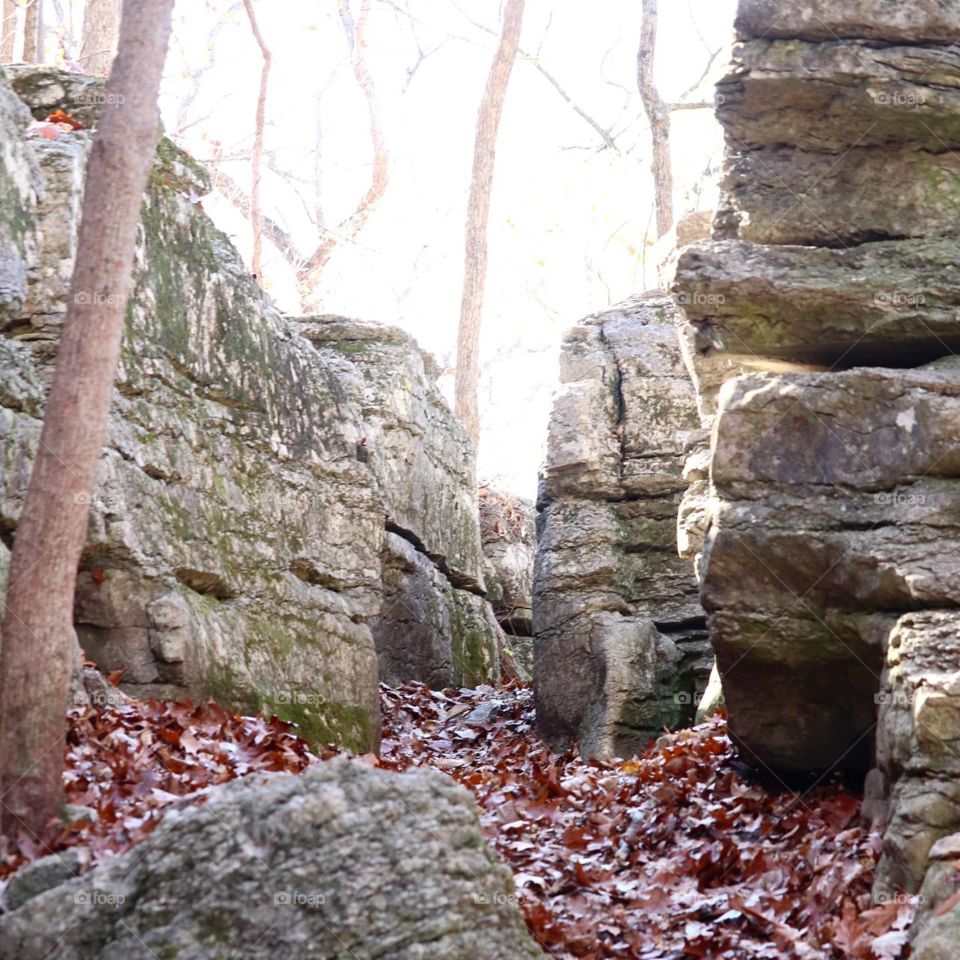 fall on a nature trail
