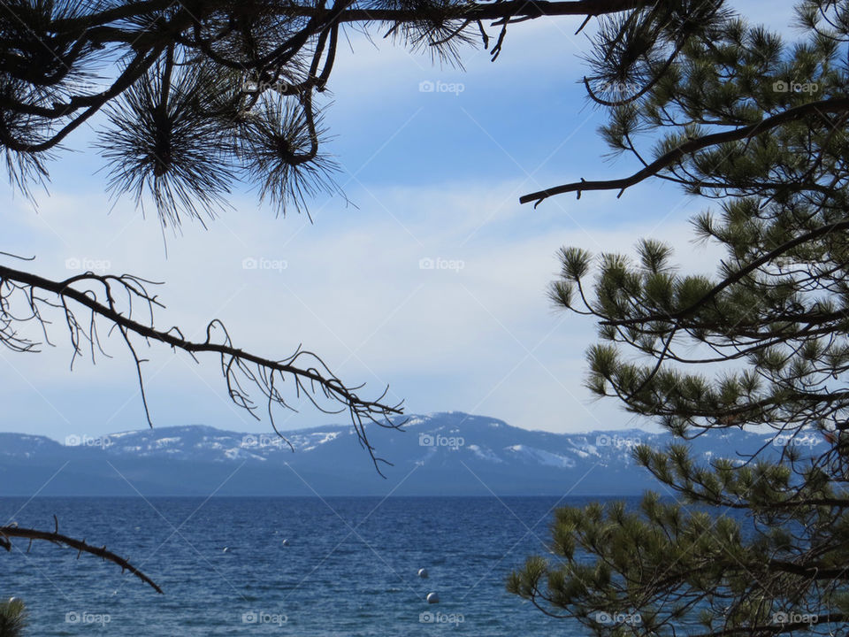 Tahoe Spring