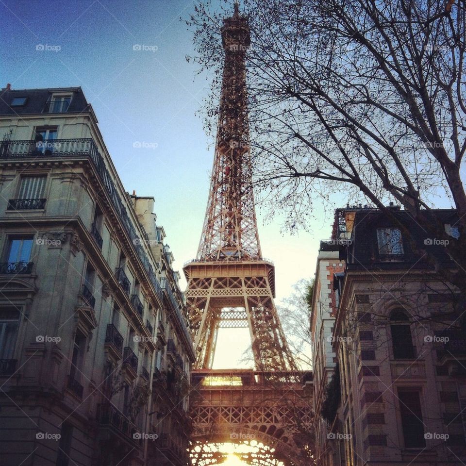 Perfection in Paris