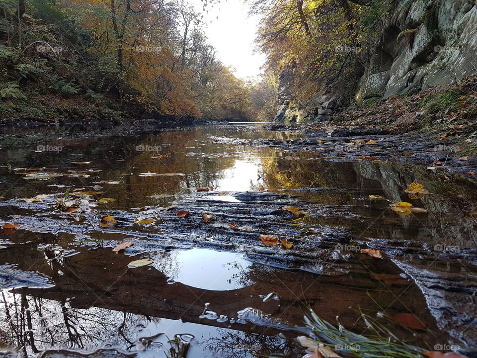 bellow viaduct outside catrine in Scotland