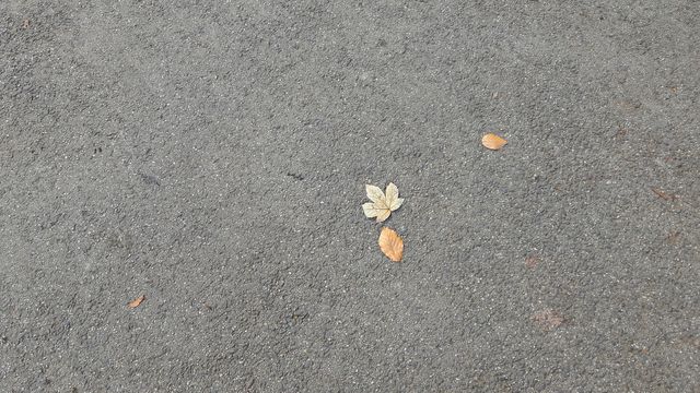 Day