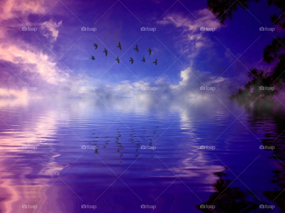 Birds over a misty lake. Birds over a misty lake