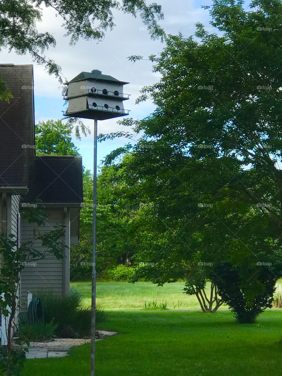 Back yard bird condo