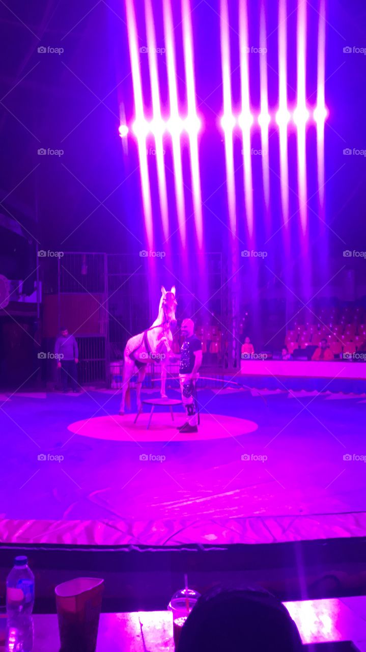 circus