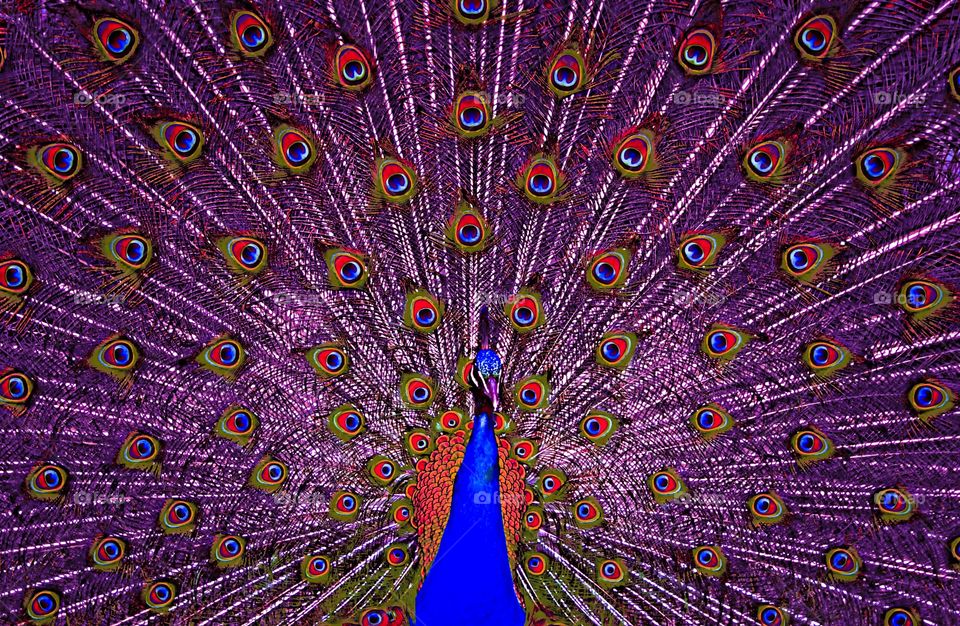 Dare to be different.