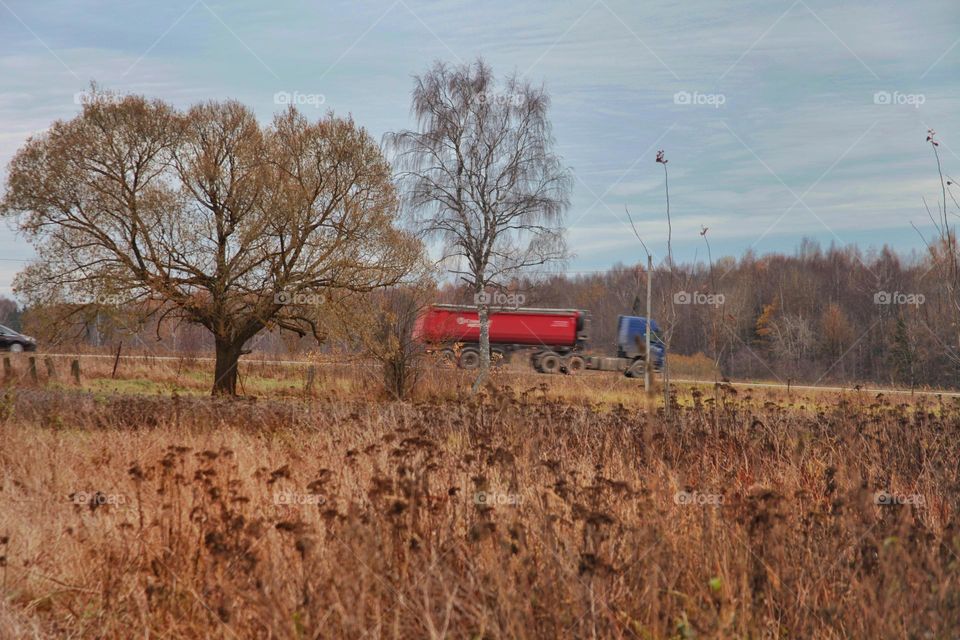 an ordinary rural field next to the road