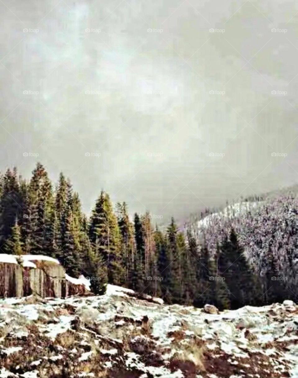 most beautiful and attractive view.