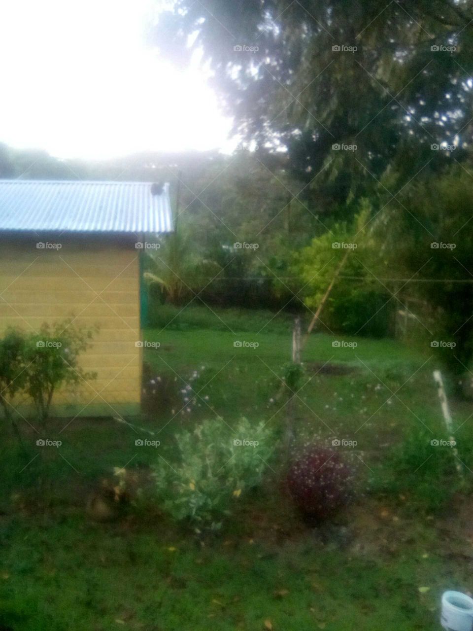 see the cat on the house top sleeping and I have to take a photo