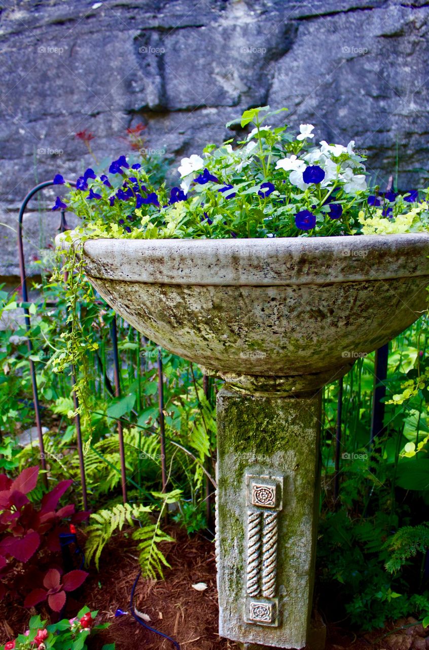 Blooming birdbath 