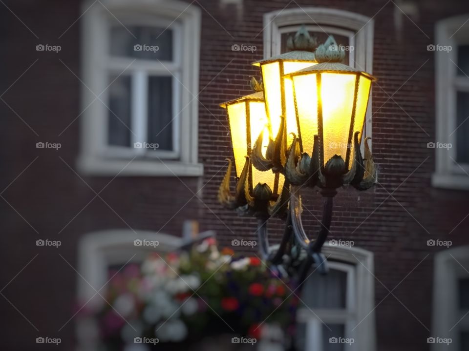 lamp