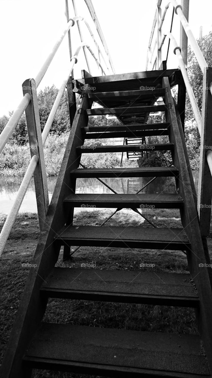 To get to the other side