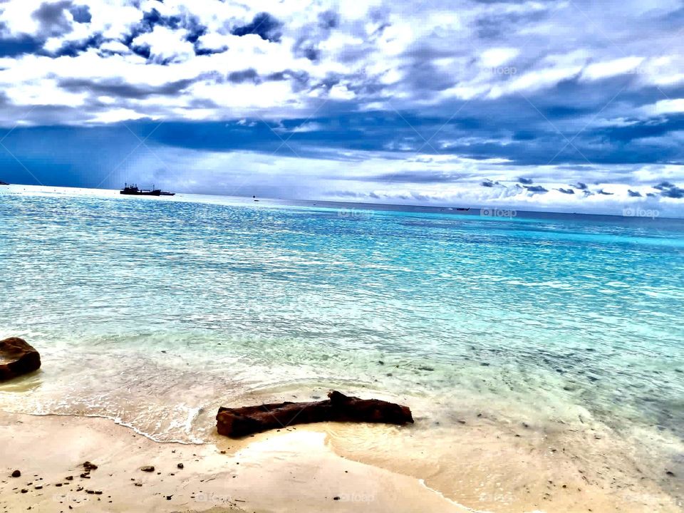 Driftwood and clear waters AMR Wozko