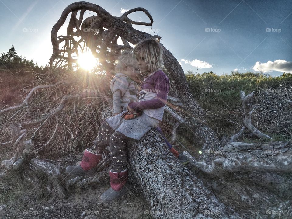 Kids sitting on a tree trunk