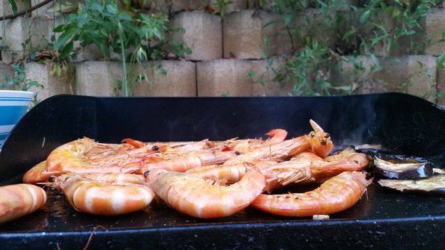 shrimp