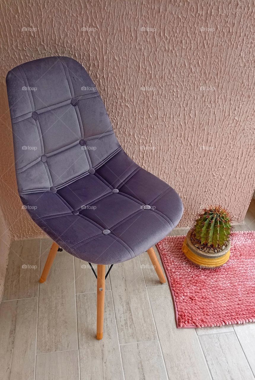 home interior design chair and cactus house plant