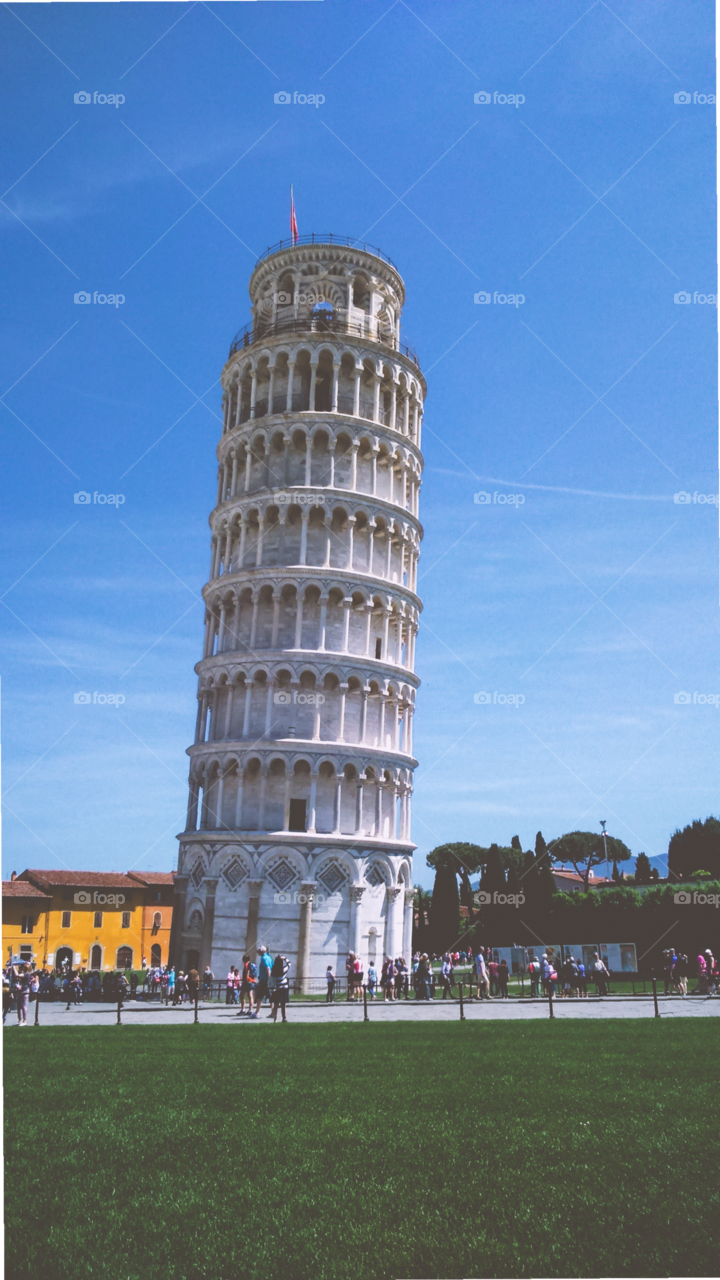 Pisa tower 