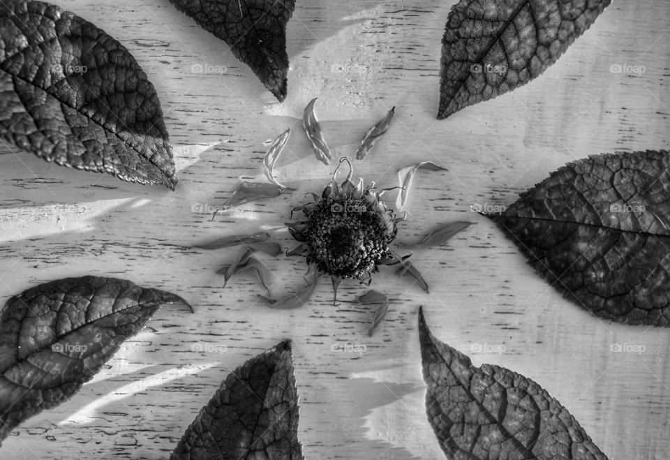 No Person, Water, Nature, Art, Retro