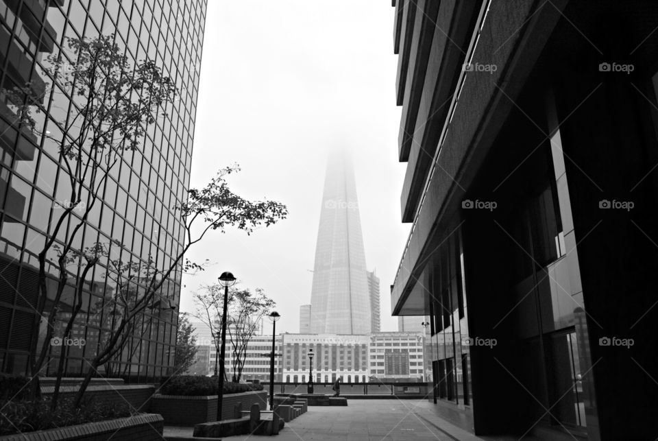 Shard 