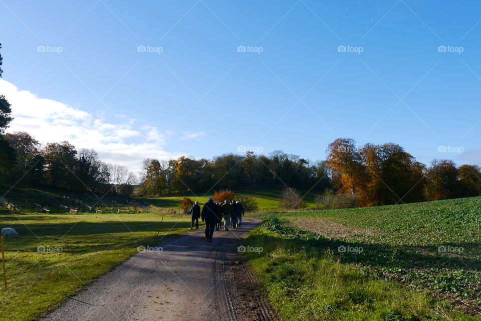wiltshire uk countryside pathway walkers by lizajones