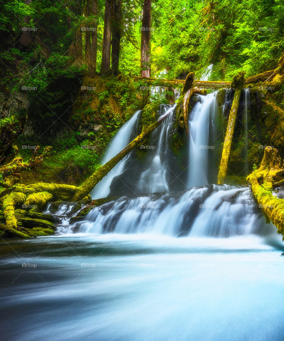 Water, Waterfall, Nature, Fall, Wood