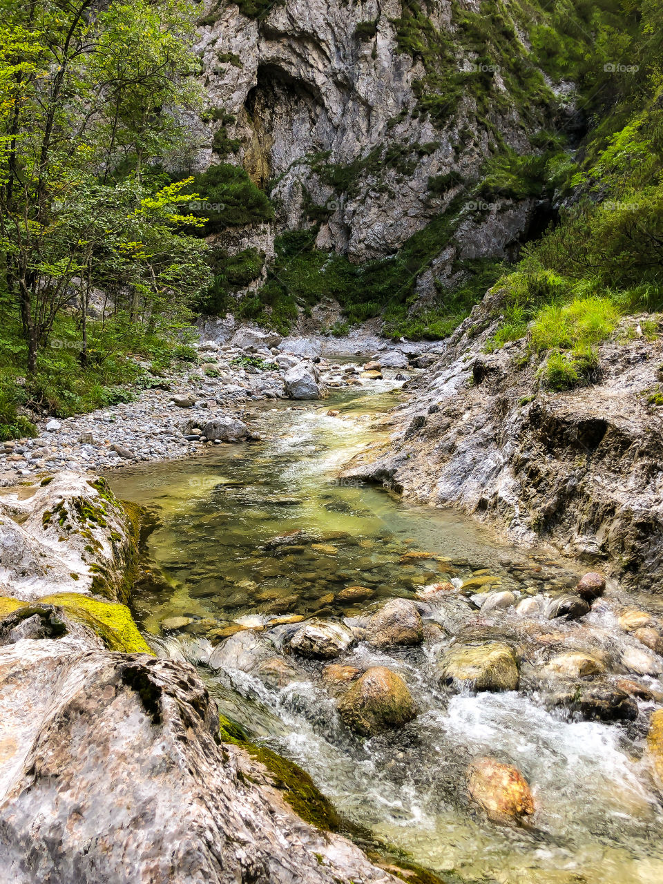 Nature reserve 