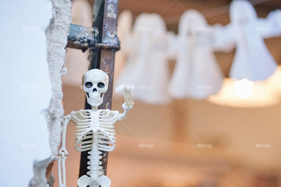 Calling for the Halloween Party. Plastic skeleton. A plastic skeleton toy hanging for Halloween party decoration. Copy space for your text