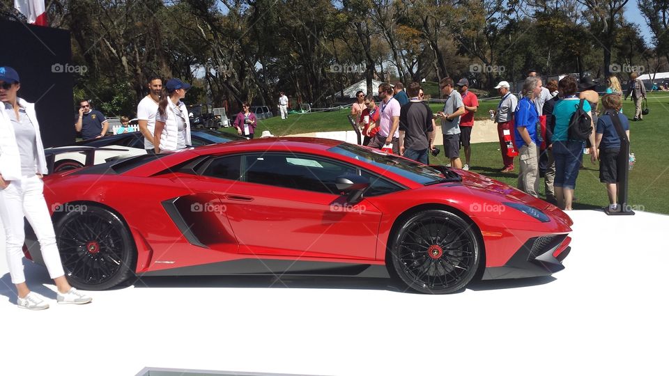 New Lamborghini Coupe. I took this photo at the car show this past weekend