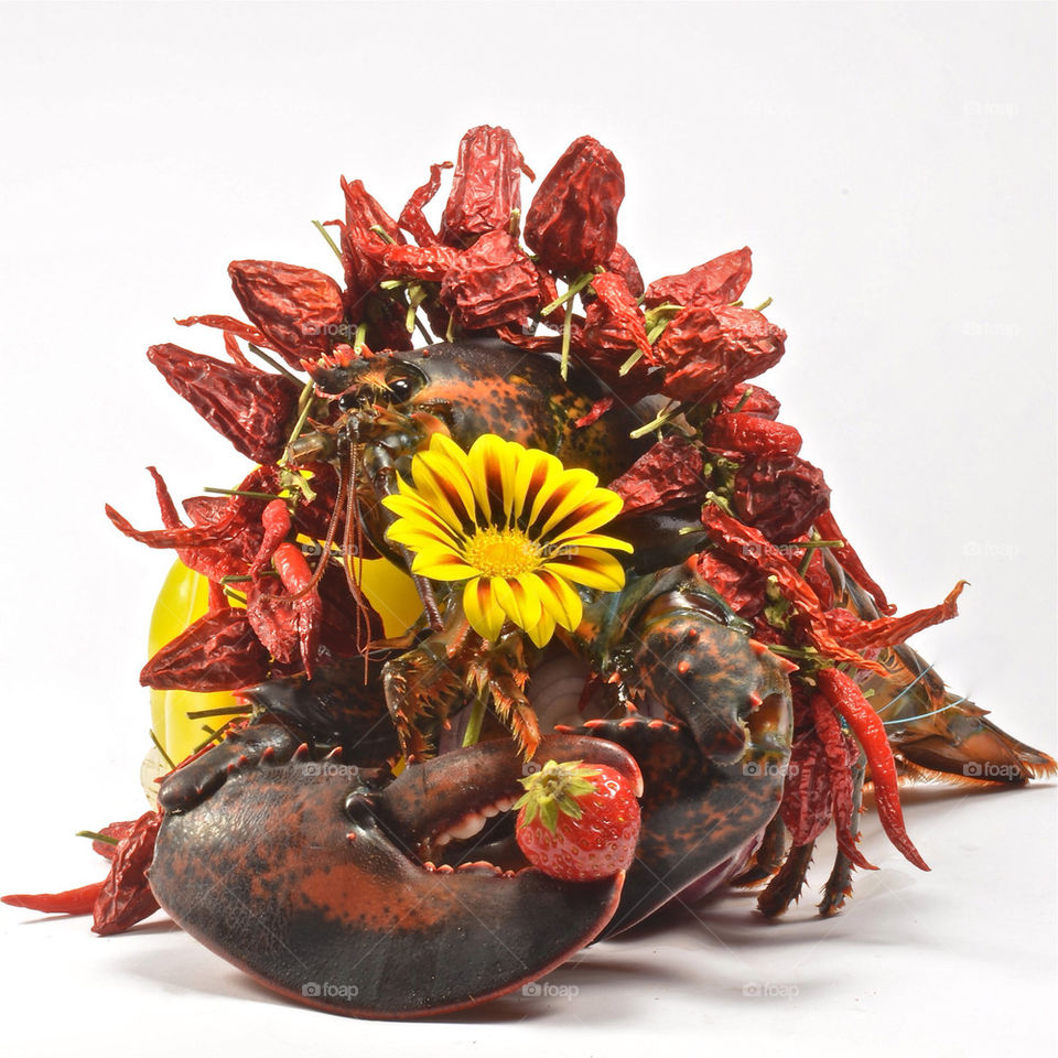 nature flower chili lobster by albertobaldelli