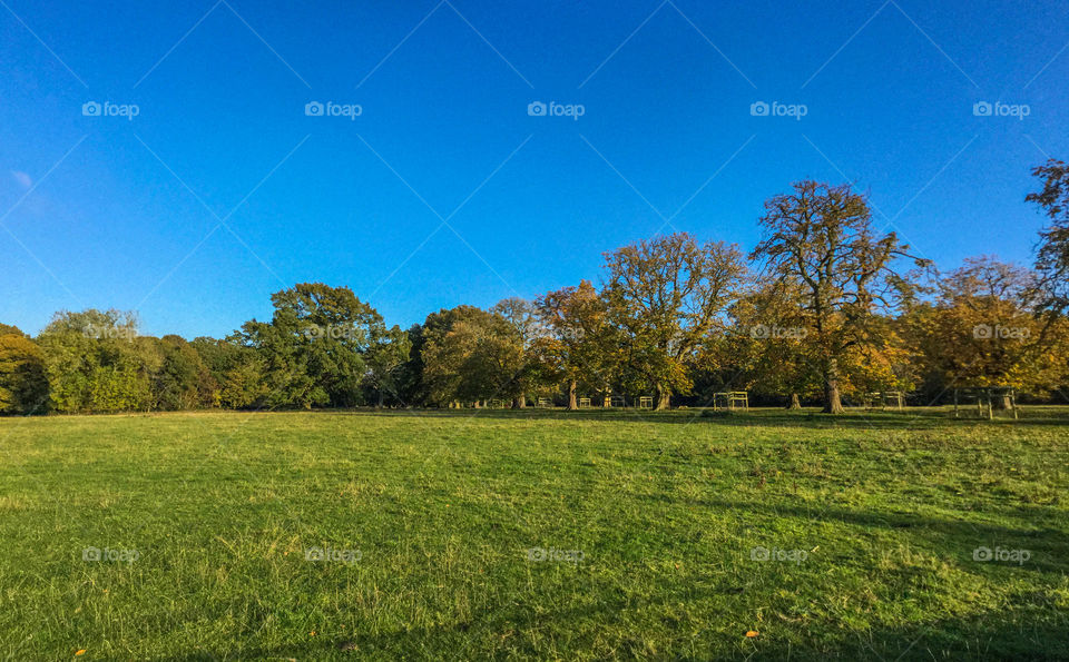 Field. English countryside farmland 