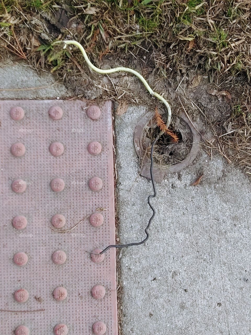 wires coming out of the ground