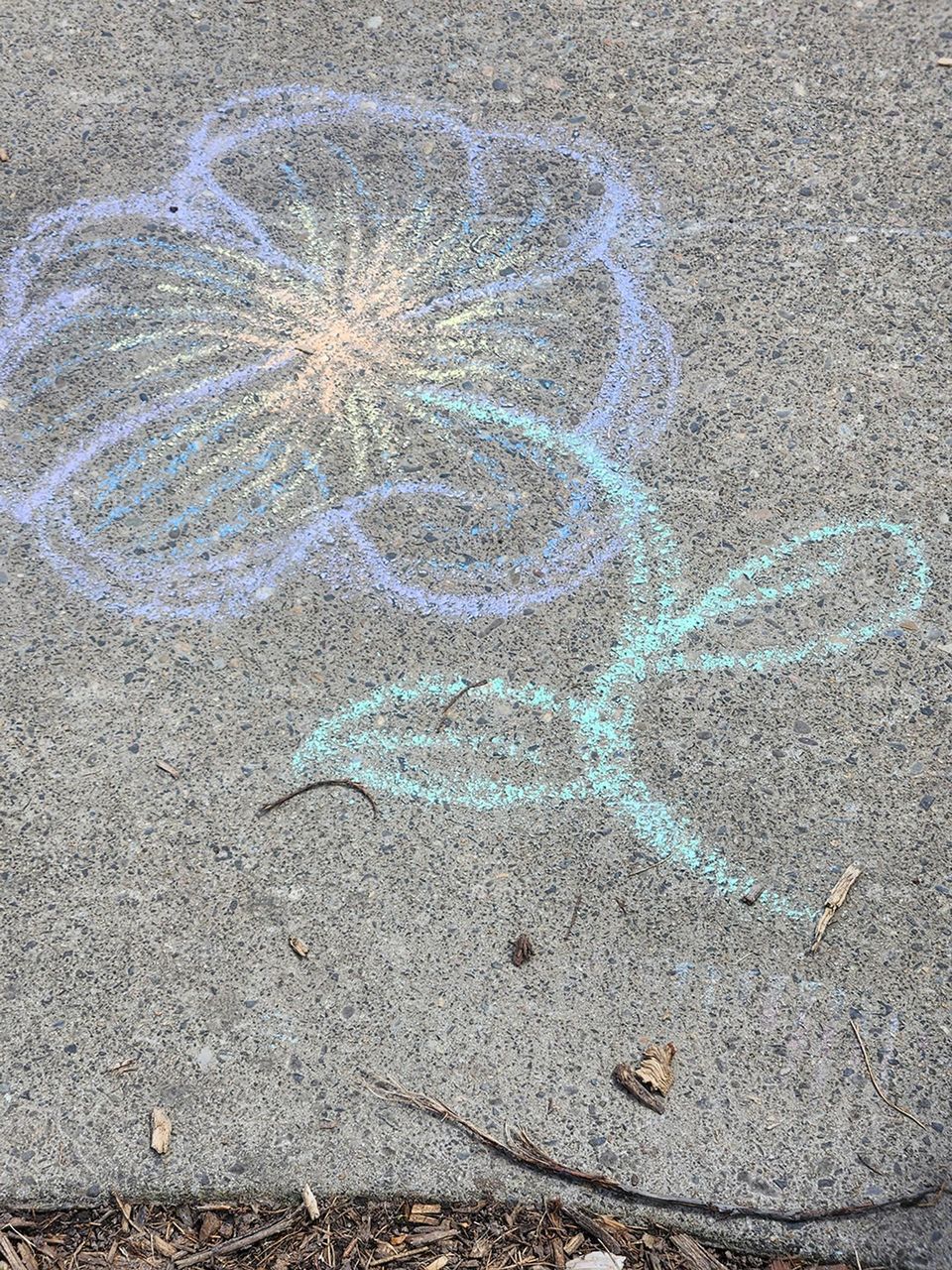 sidewalk chalk drawing of colorful purple flower