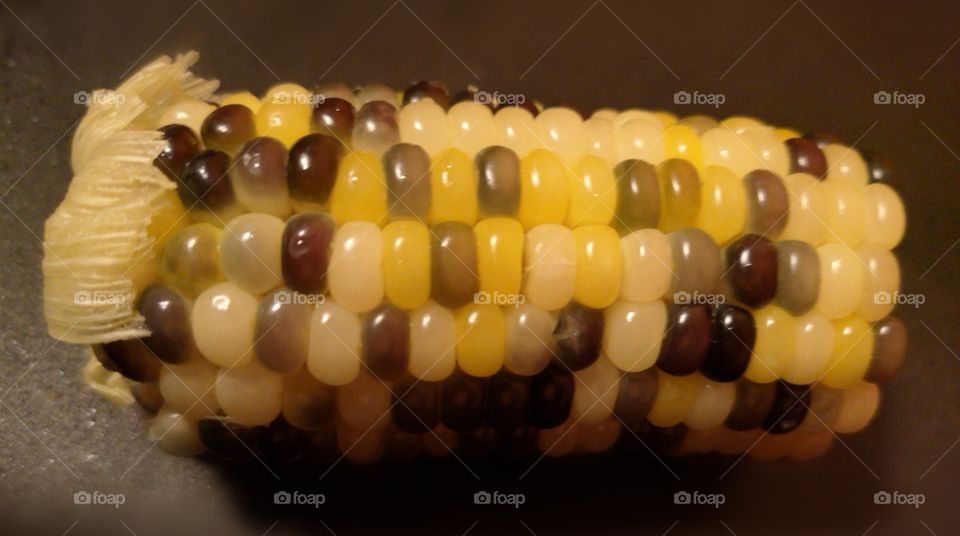 Corn
